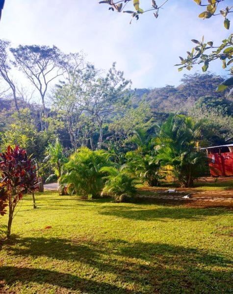 Cabanas Ixaya Catemaco Exteriér fotografie
