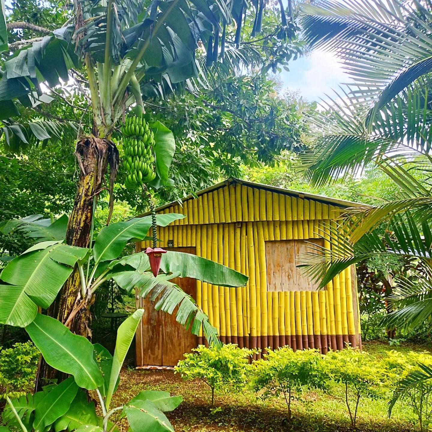 Cabanas Ixaya Catemaco Exteriér fotografie